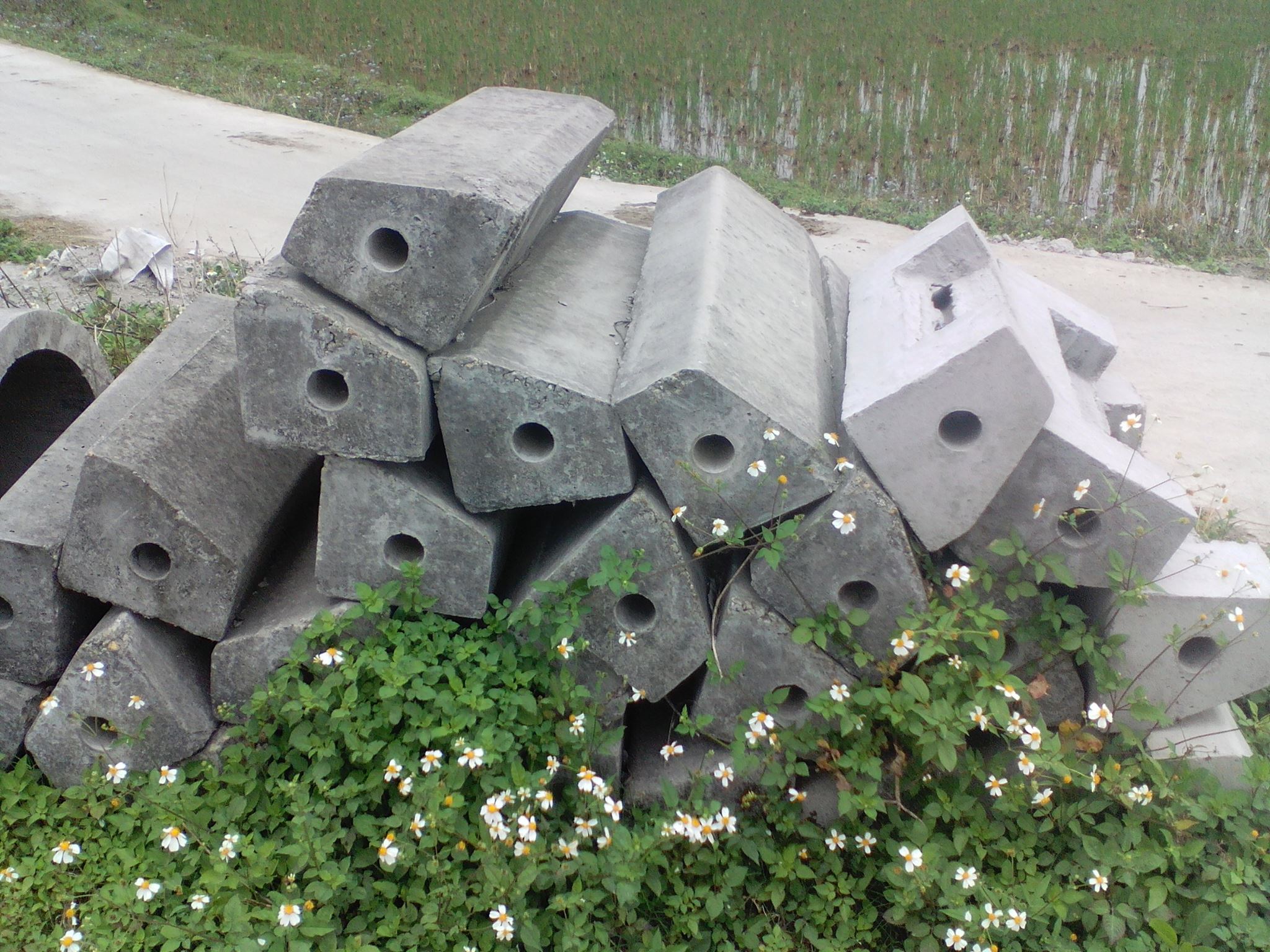 Hà Minh Tuấn ông cống cột điện Hải Hà, Hải Hà, Ống Cống Cột Điện, Tuấn cống Hải Hà